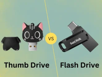 Thumb Drive vs Flash Drive